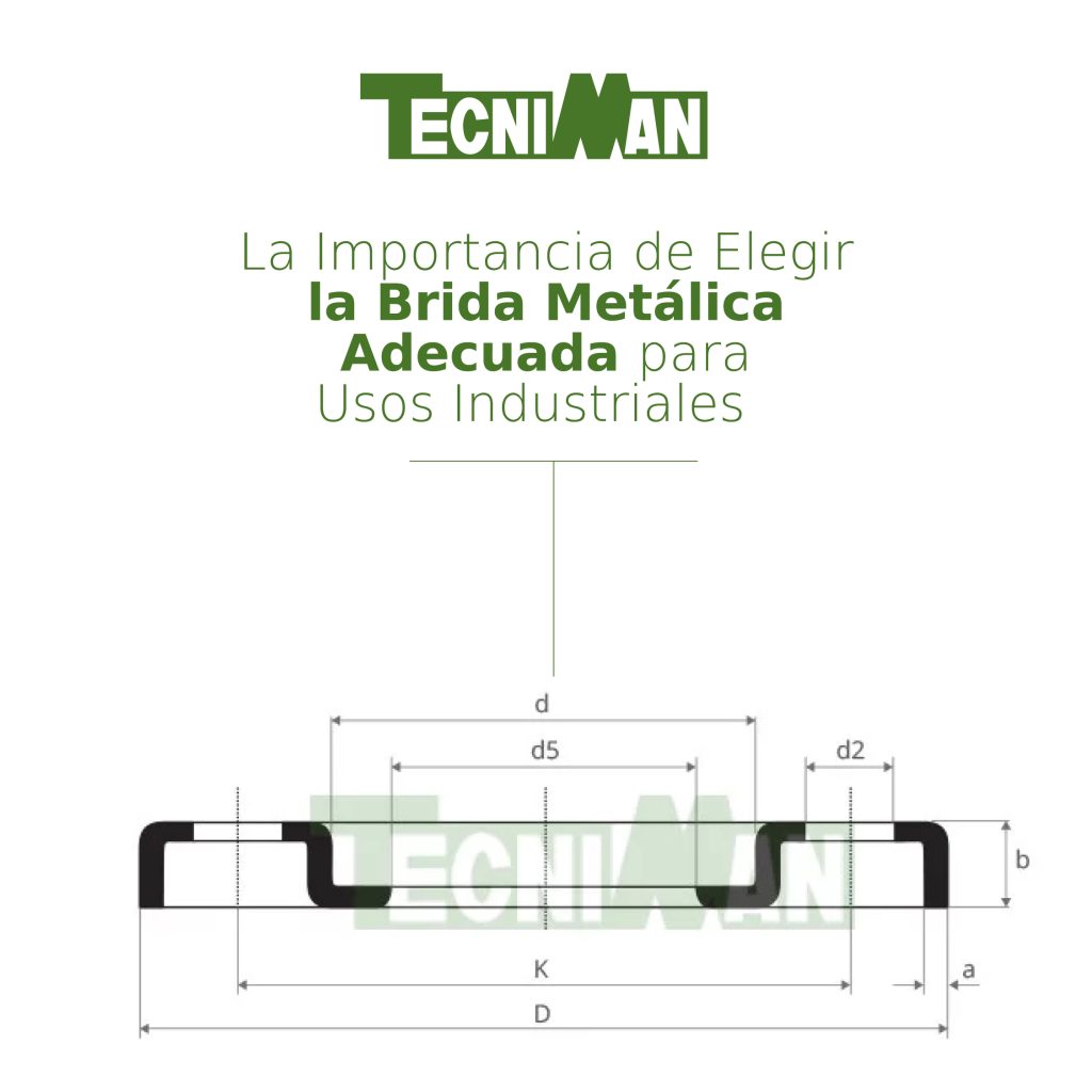 La Importancia de Elegir la Brida Metálica Adecuada para Usos ...