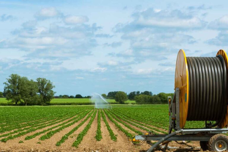 Carrete de manguera de riego junto a un campo de cultivo con aspersor